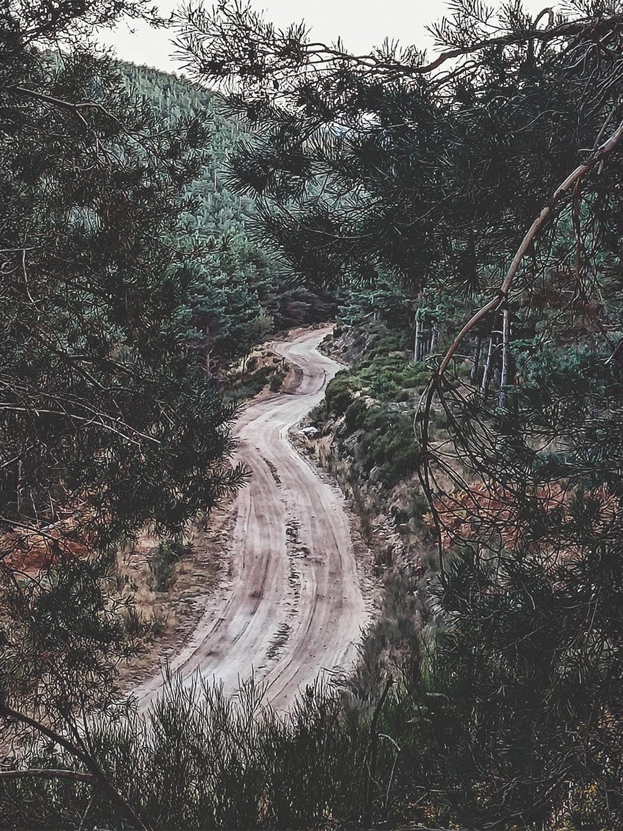 Imágen camino 900x1200